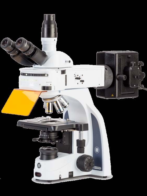 iScope IS.3153-PLi/3 — trinocular fluorescence microscope